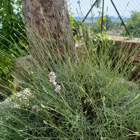 Appartement Dimora Borgo Gaon - Casa Elios Con Wi-fi E 3 Bagni Caprino Veronese