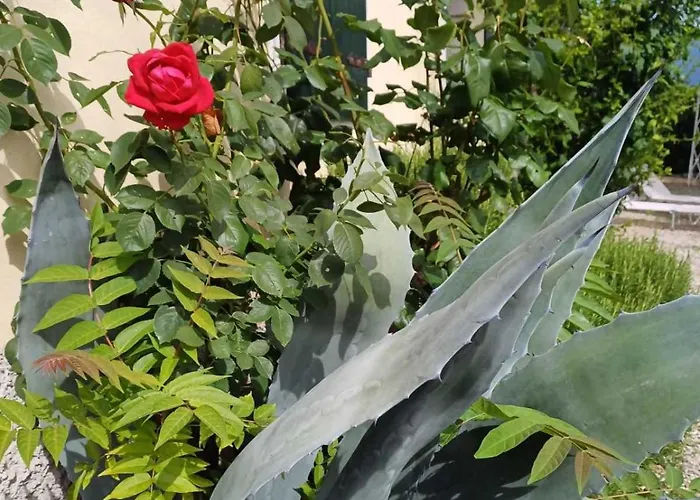 Dimora Borgo Gaon - Casa Elios Con Wi-fi E 3 Bagni Caprino Veronese