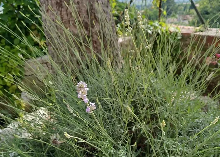 Appartamento Dimora Borgo Gaon - Casa Elios Con Wi-fi E 3 Bagni Caprino Veronese