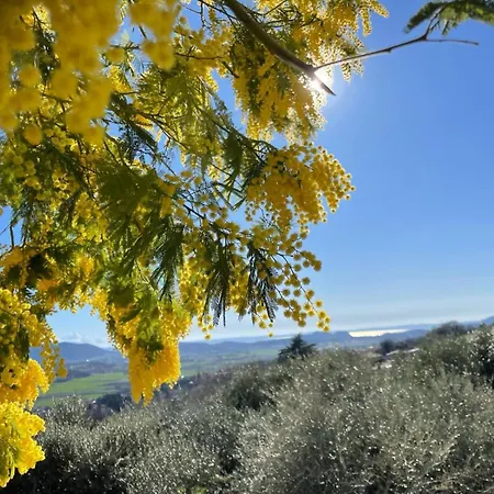 Dimora Borgo Gaon - Casa Elios Con Wi-fi E 3 Bagni Caprino Veronese