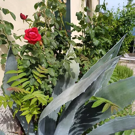 Dimora Borgo Gaon - Casa Elios Con Wi-fi E 3 Bagni Caprino Veronese